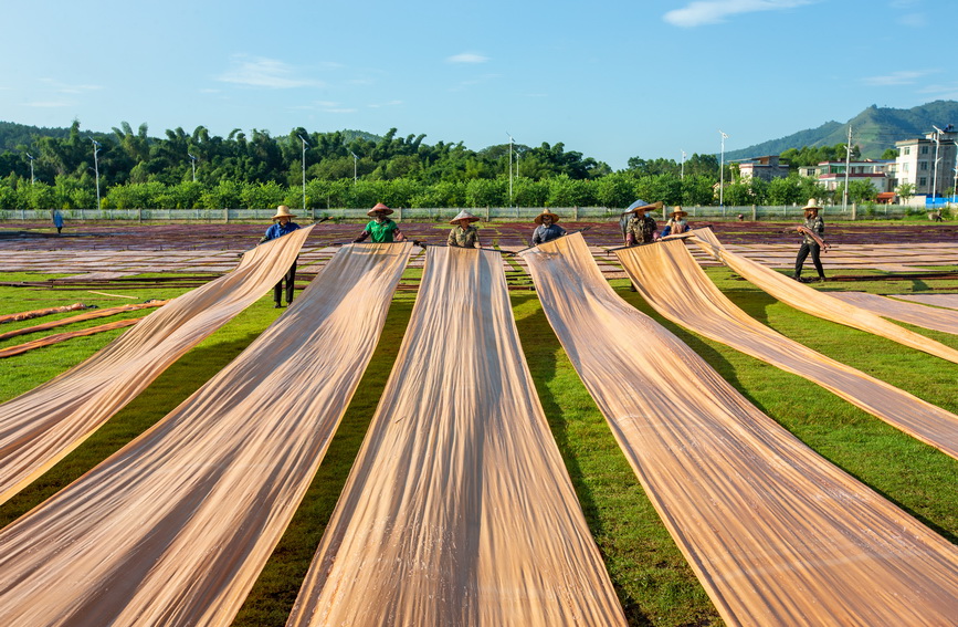 廣西蒙山：加工香雲紗
