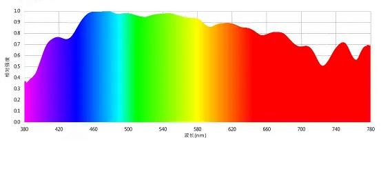 爲什麽人們可以看到作爲顔色的特定波長