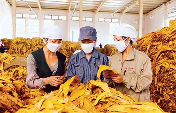 煙葉分級燈箱的色溫和顯色指數是多少？