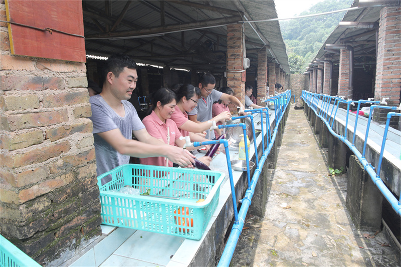 三恩時-帽峰山生态園團建-野炊2
