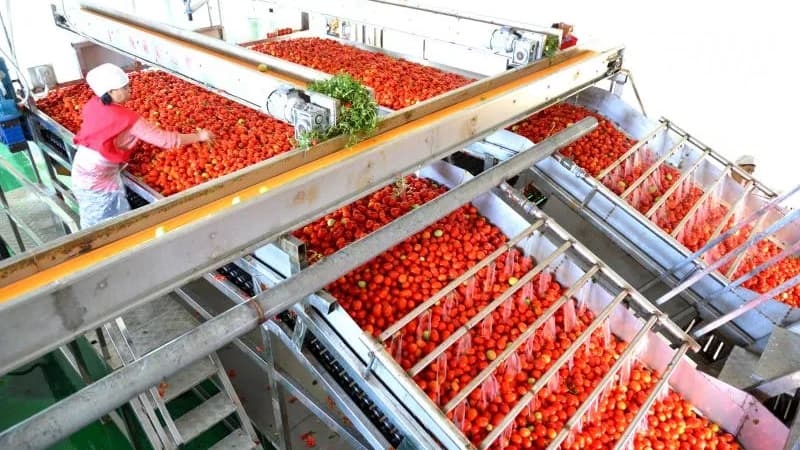 番茄醬的顔色分級，認準三恩時YS4580分光測色儀！3