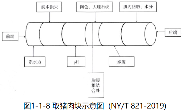 肉色測量-比色闆法
