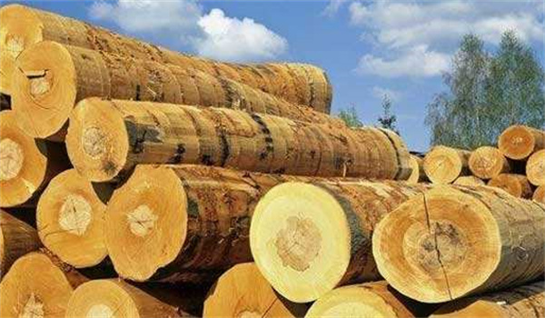 天然闆材的顔色測量，選用NR20XE電腦色差儀！