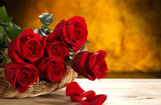 如何使用光澤度儀(yí)測(cè)量玫瑰花的光澤度？