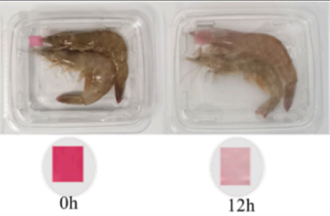 前沿：色差儀在食品化學研究領域的應用