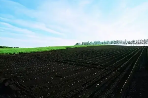 可以使用分光測(cè)色儀測(cè)量黑土地的顔色嗎(ma)？