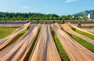 色差儀可以用於(yú)香雲紗的生産(chǎn)嗎？有哪些作用？