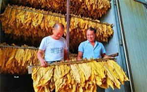 煙(yān)葉的顔色分級(jí)方法&mdash;&mdash;CIEDE2000色差公式