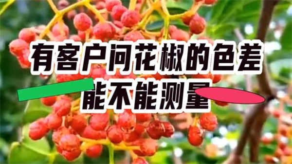 【案例】花椒測(cè)色&mdash;&mdash;TS8560台式分光測(cè)色儀(yí)