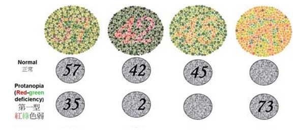 常見的色覺缺陷類型&mdash;&mdash;色弱、色盲