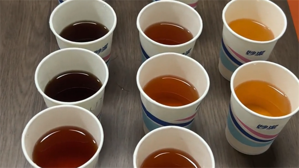 三恩時(shí)YS6060台式分光測(cè)色儀測(cè)量茶水的顔色