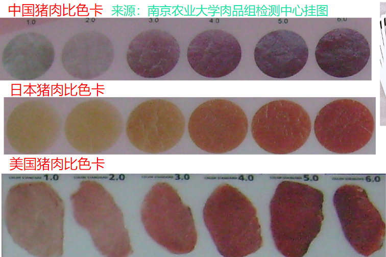 肉色測(cè)量方法&mdash;&mdash;比色闆(bǎn)法