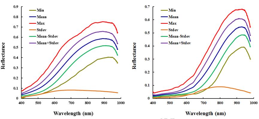 光的反射率：從基本原理到現實應用的完整解析